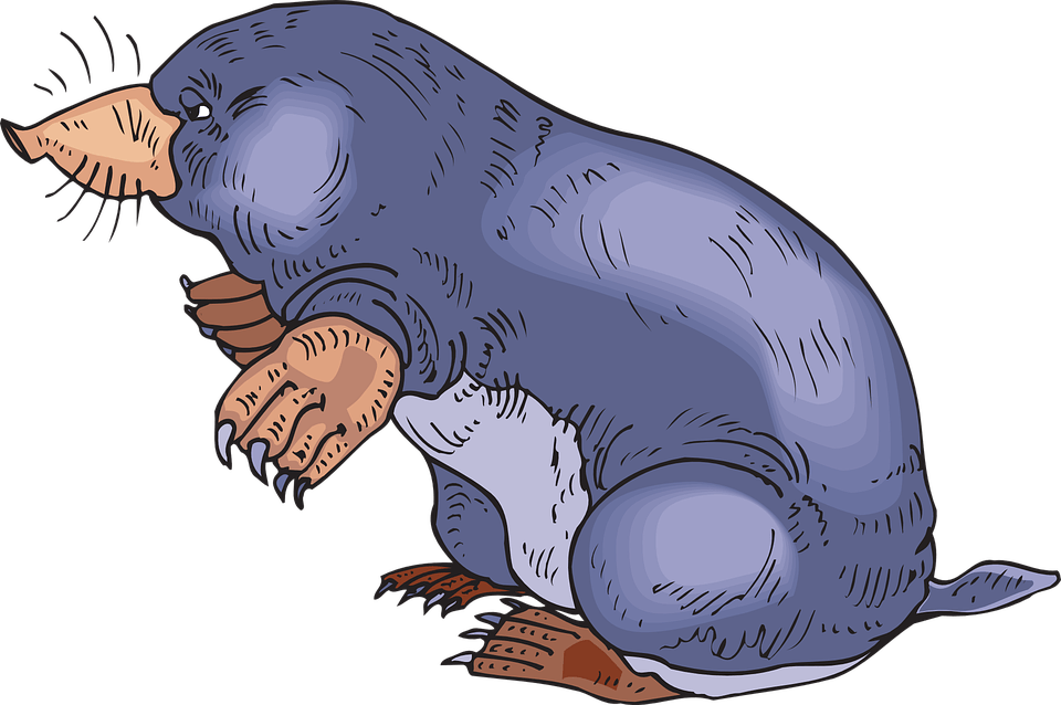 Blue Mole