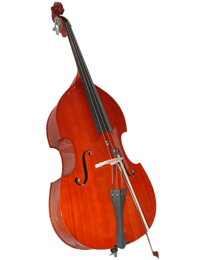 Double Bass