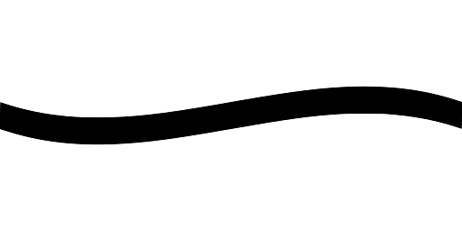 Single Horizontal Black Wavy Line