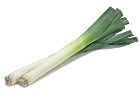 Leek