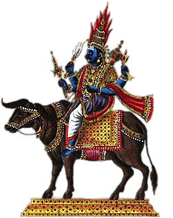 Yama on Water Buffalo