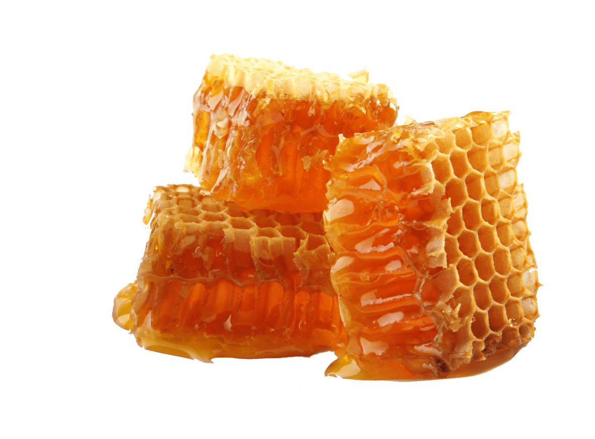 Honey Blocks