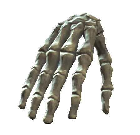 Bones Of the Right Hand