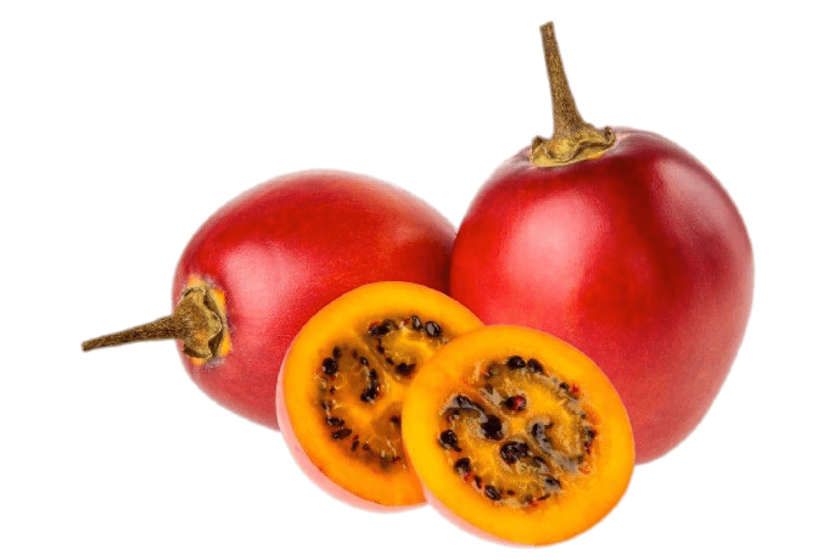 Tamarillo Tree Tomato