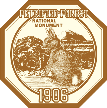 Petrified Forest National Park Vintage