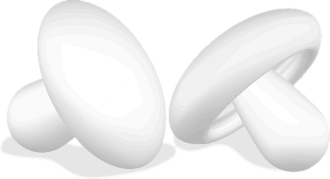 Two Button Mushrooms