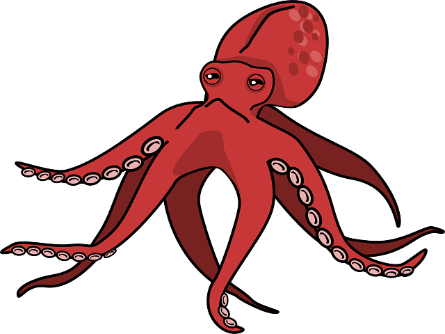 Red Squid