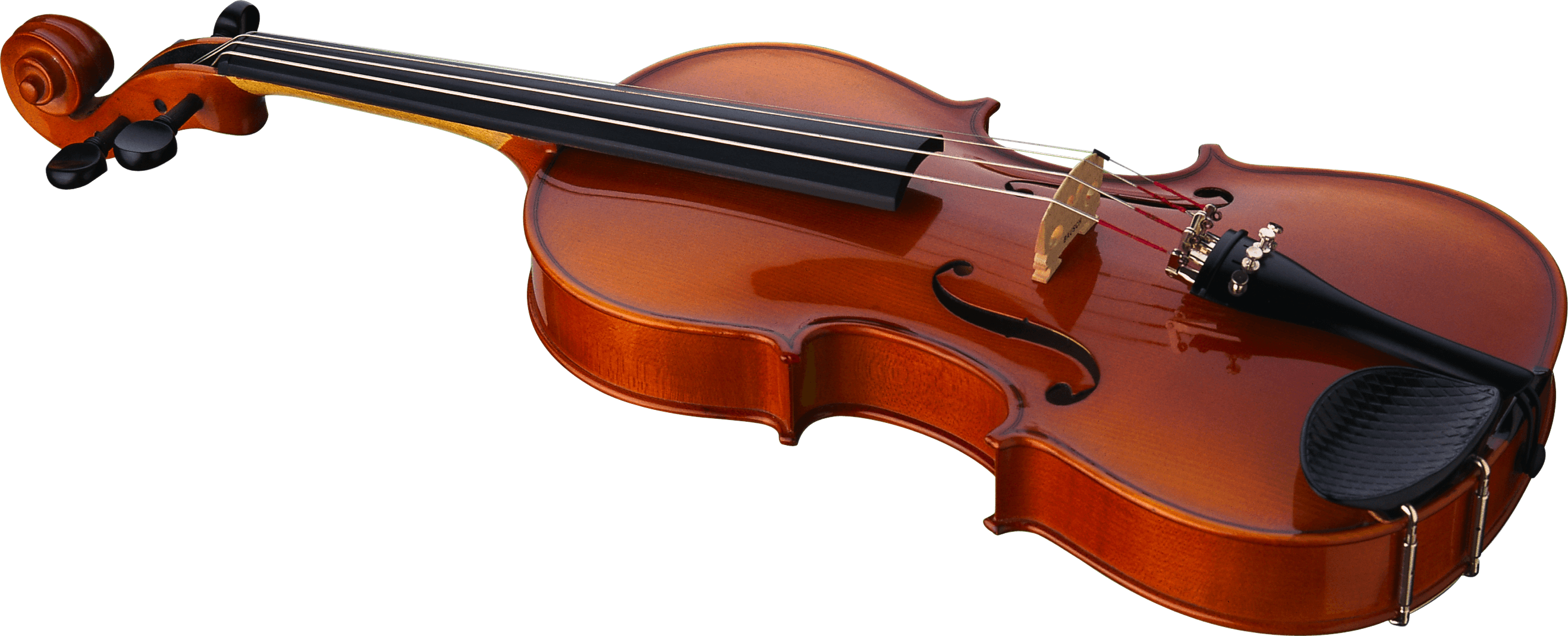 Violin Single Side