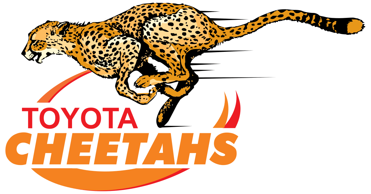 Cheetahs Rugby 