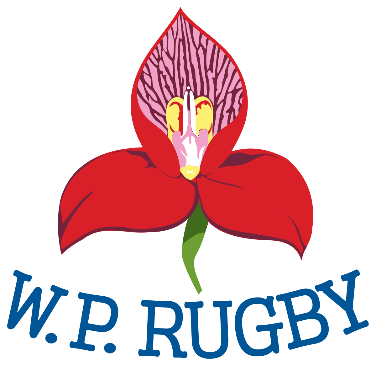 Western Province Rugby 