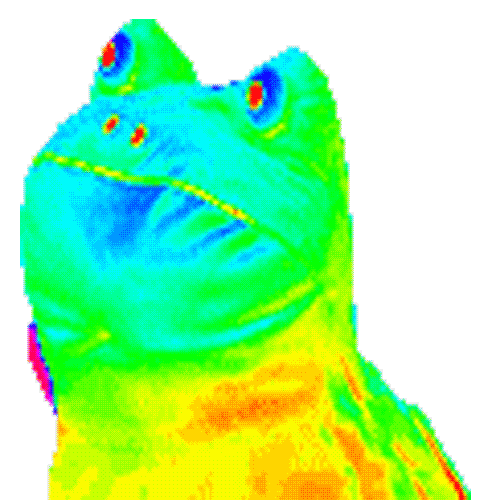 Hyper MLG Frog