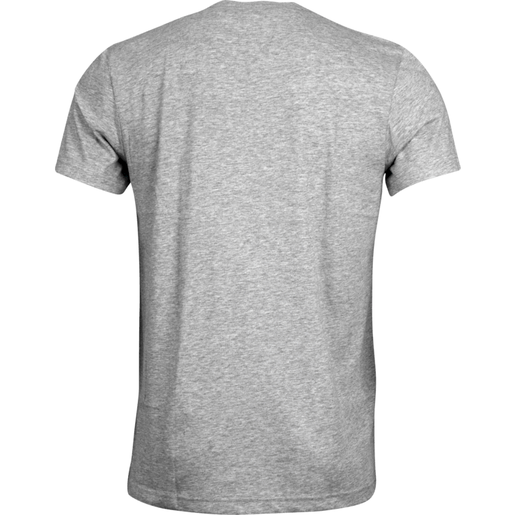 Tshirt Grey Back