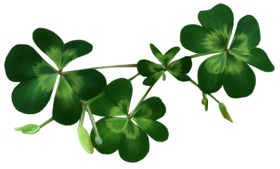 Shamrock Multiple