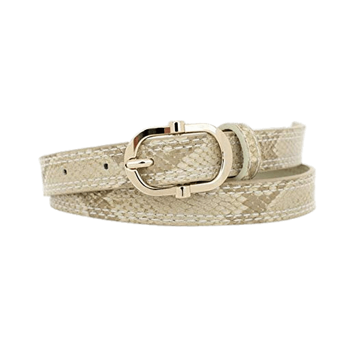 Snakeskin Pattern Belt