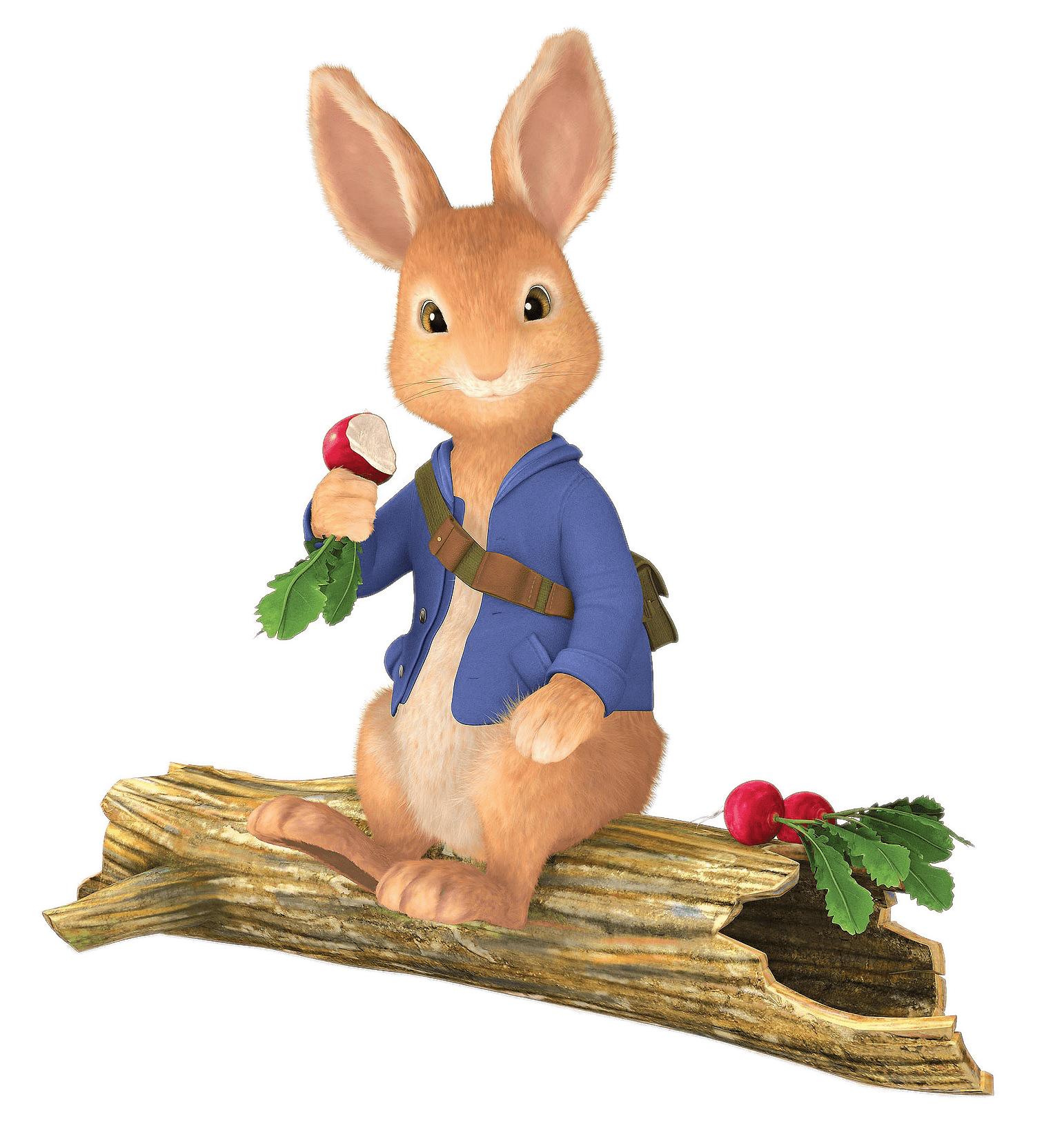 Peter Rabbit Sitting on Tree Trunk