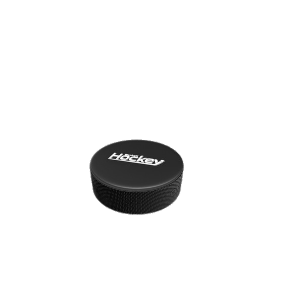 Ice Hockey Puck