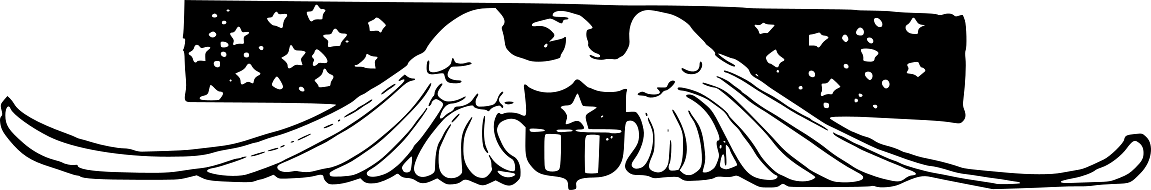 USA Eagle Page Divider