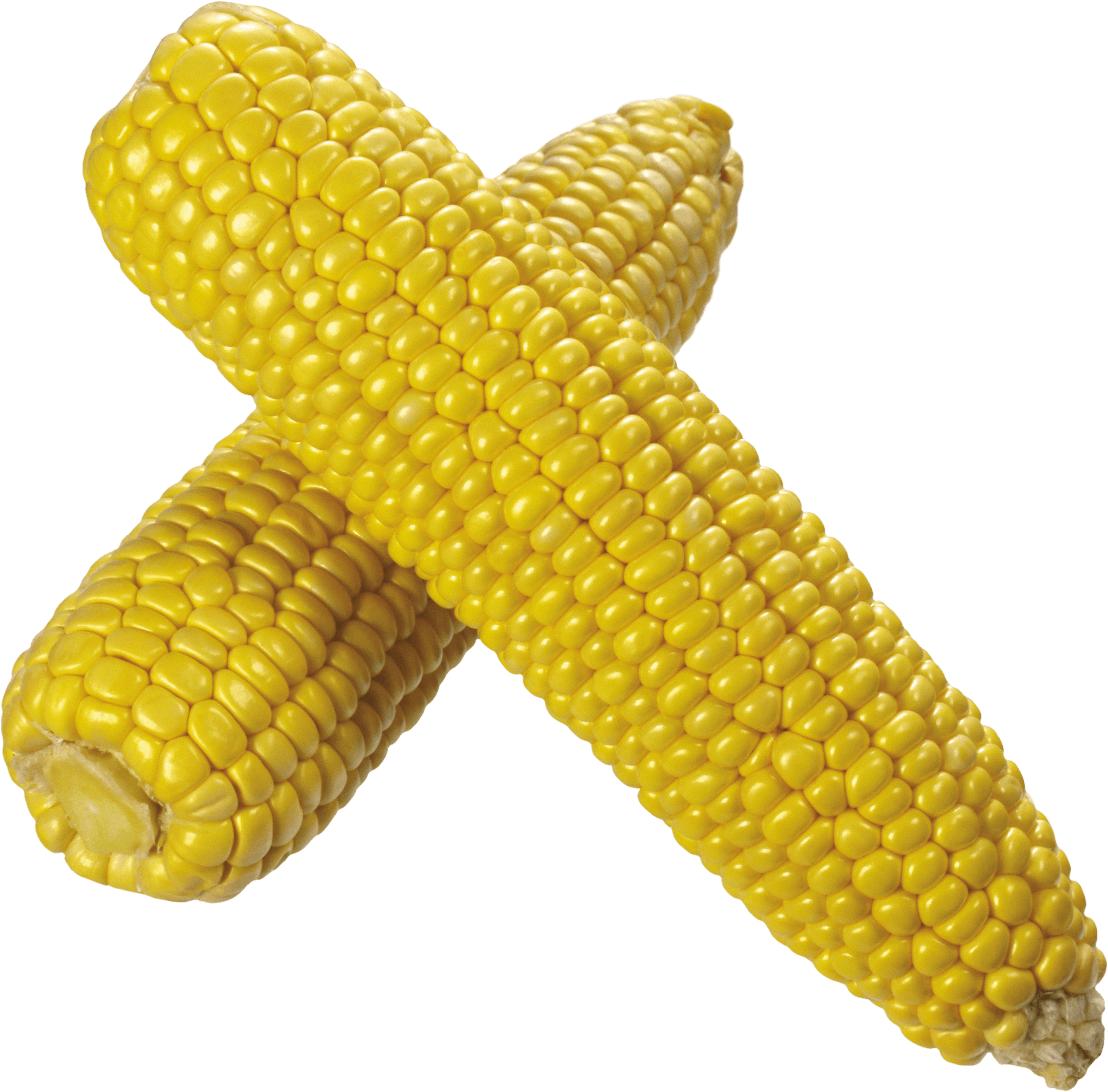Corn Duo