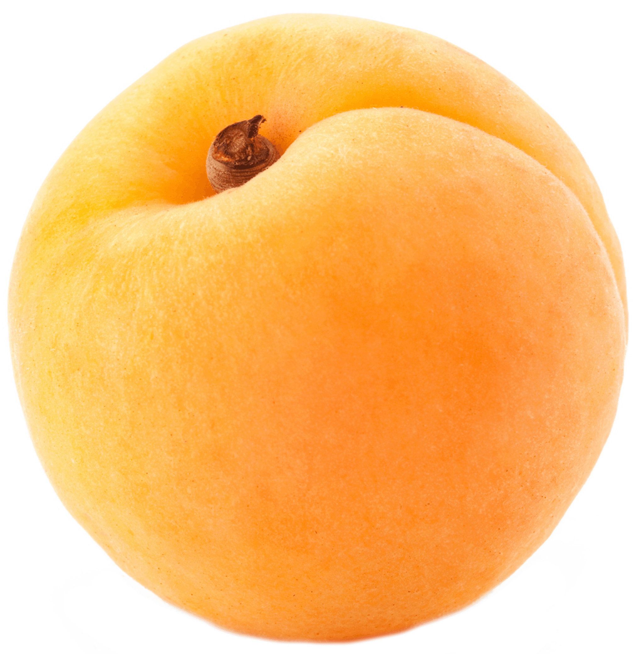 Apricot Large Single