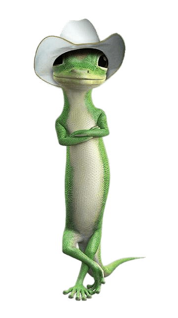Geico Gecko with Cowboy Hat