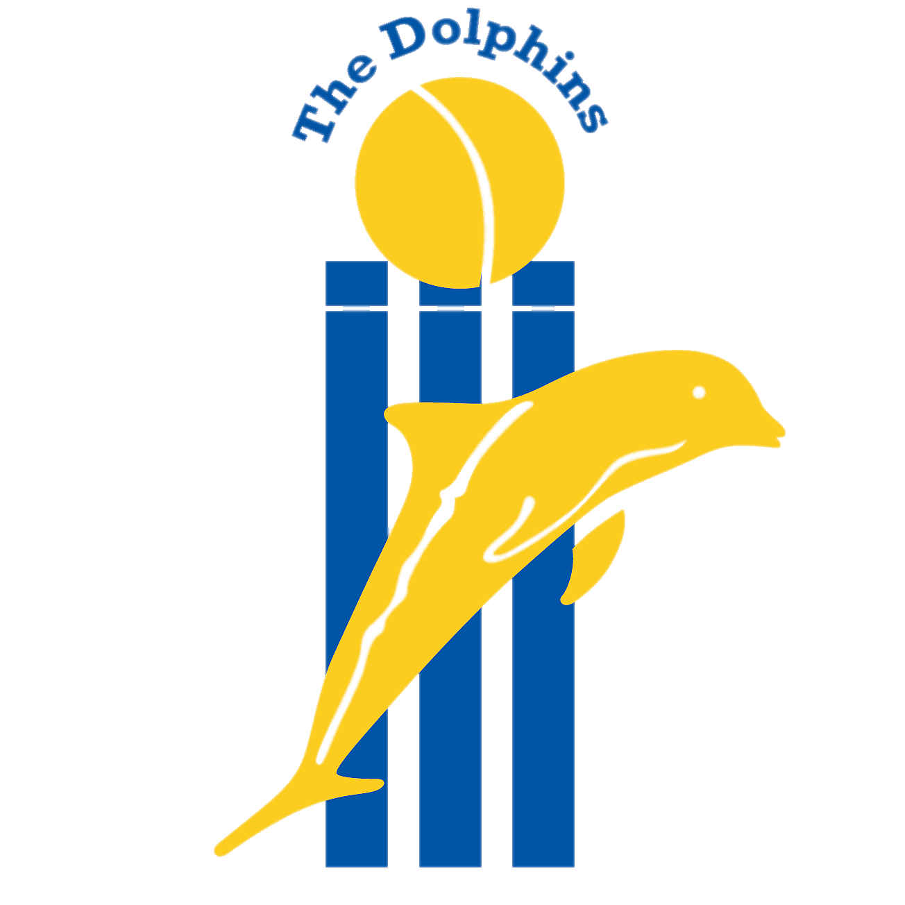 Gold Coast District Cricket Club 