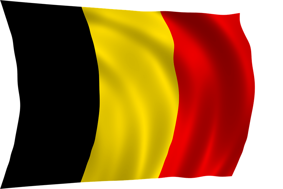 Wave Belgium Flag