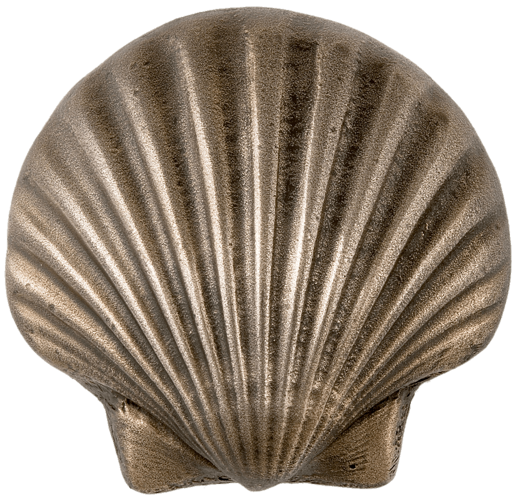 Metal Scalloped Seashell
