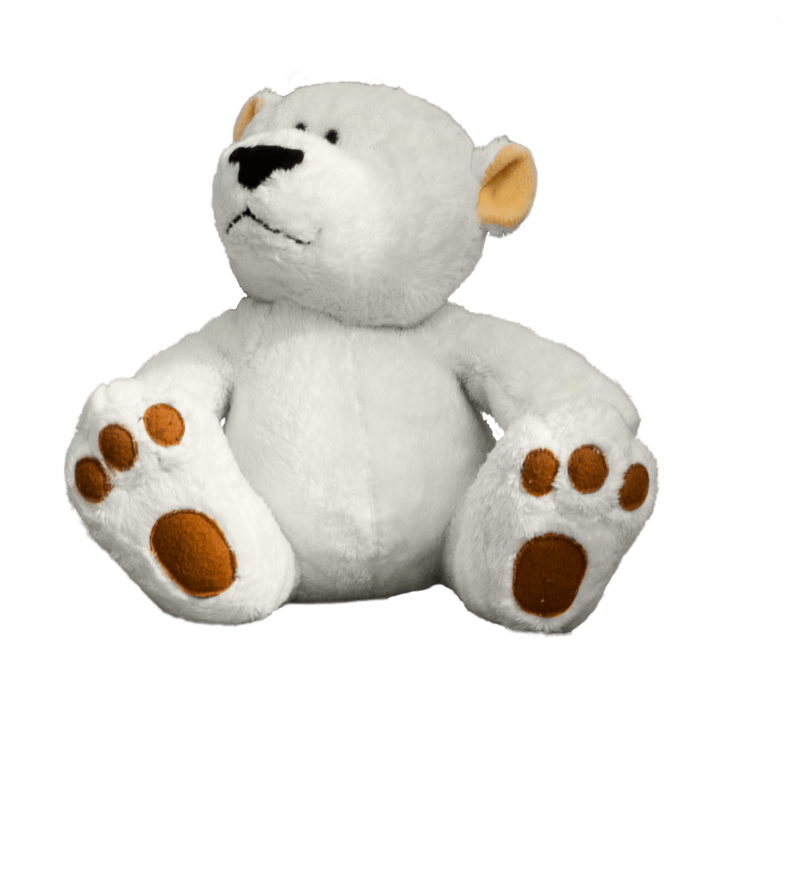Teddy Bear Front View