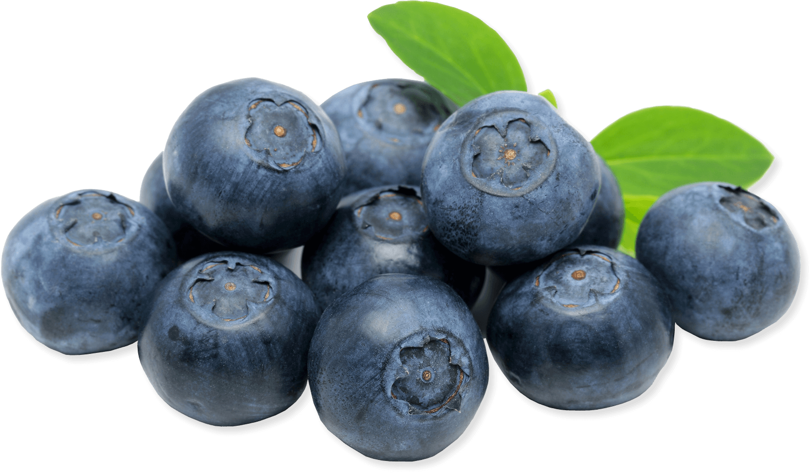 Blueberries Close Up