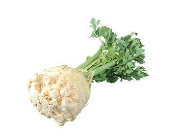 Celeriac