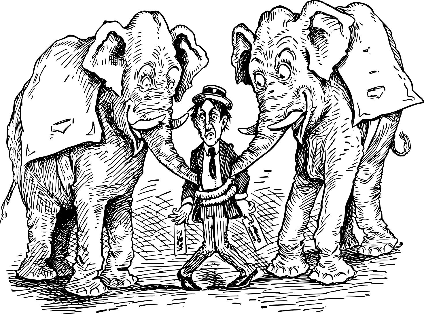 Two Elephants Comic Scene