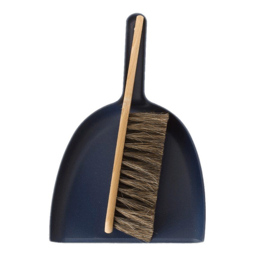 Dustpan With Wooden Brush