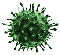 Ugly Green Virus
