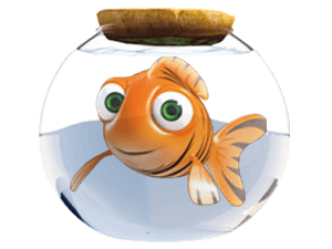 The Jungle Bunch Junior In  Fish Bowl