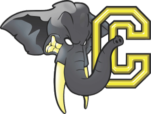 Eléphants Chambéry 