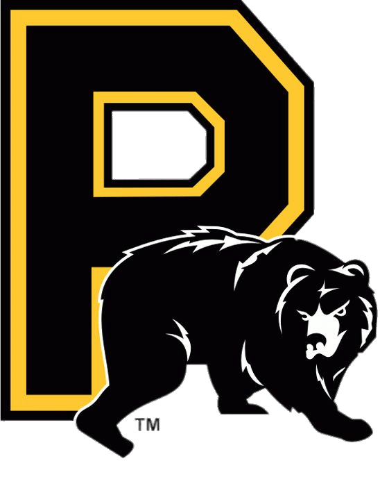 Providence Bruins Alternate 