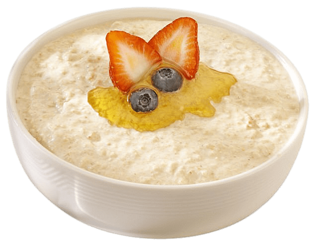 Bowl of Porridge