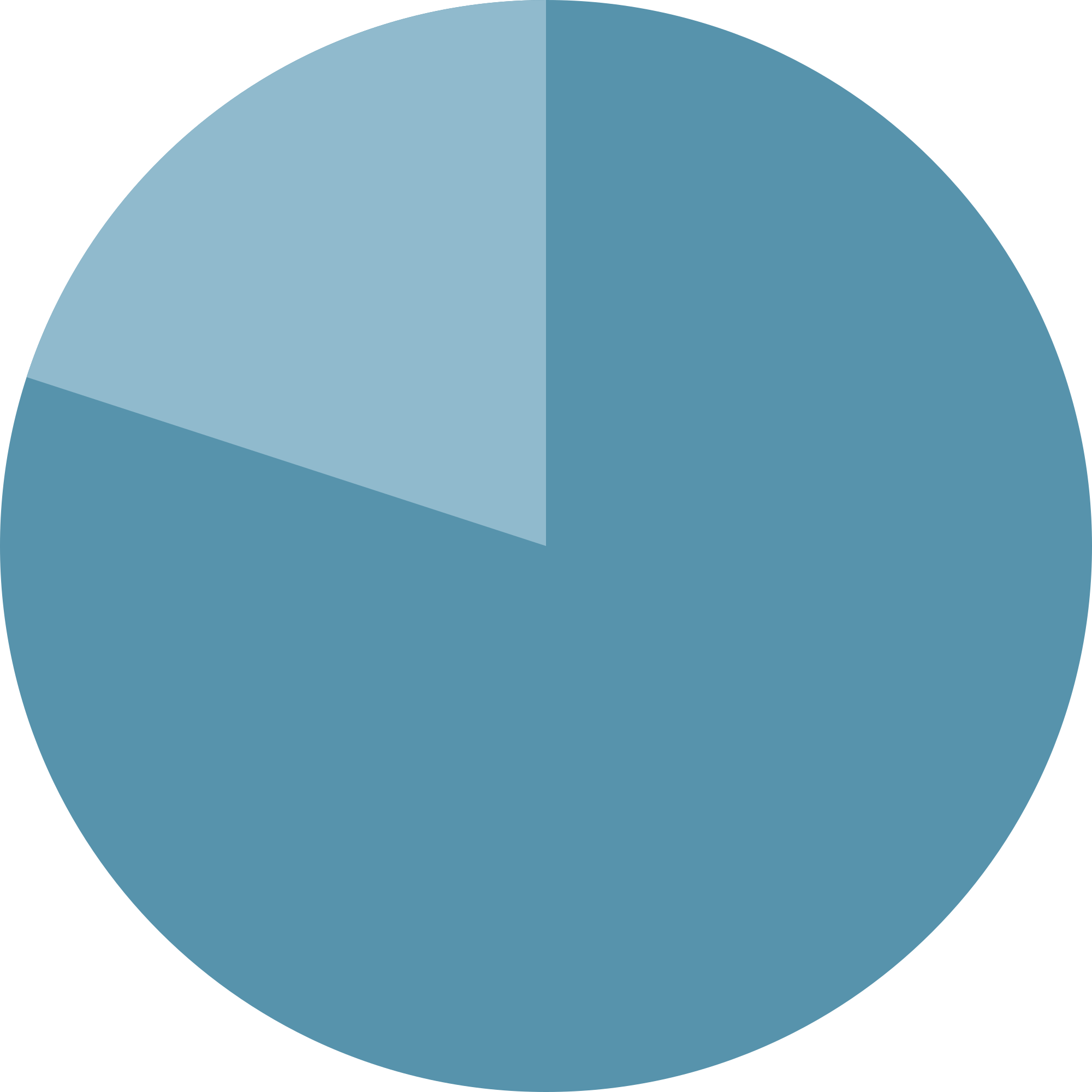 80% Pie Chart