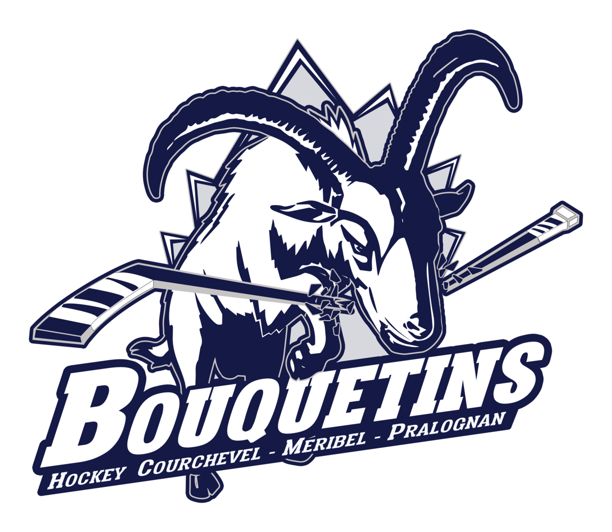 Bouquetins Courchevel Méribel Pralognan 