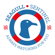 Academia Blue Seagull