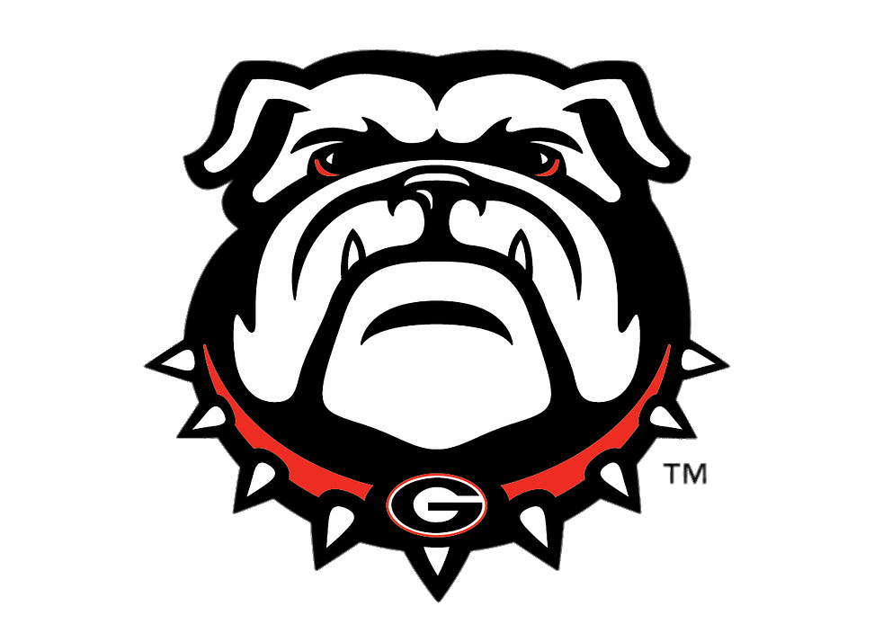 Georgia Bulldogs mascotte head