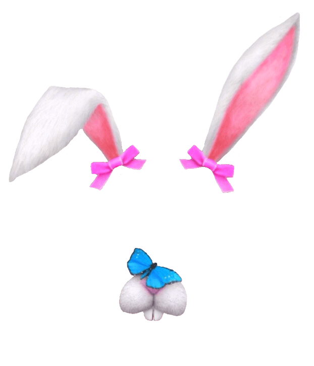 Snapchat Filter Bunny Fold