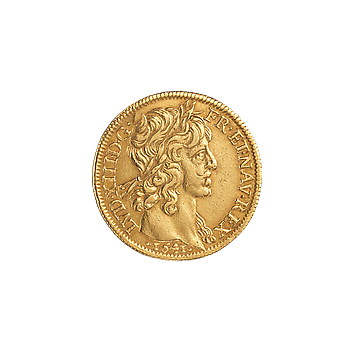 Gold Coin Double Louis d'Or