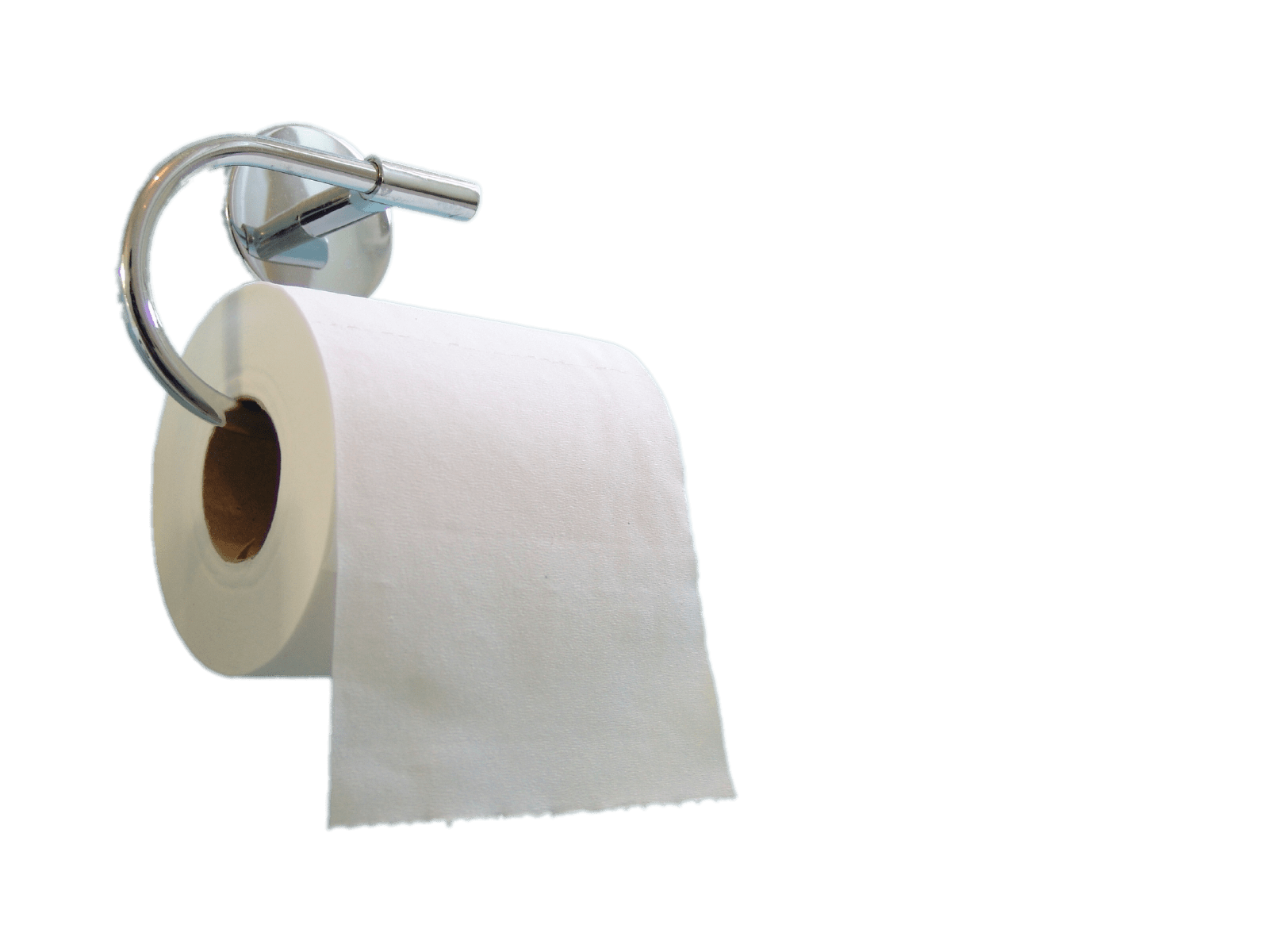 Toilet Paper on Holder