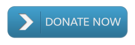 Donate Now Button
