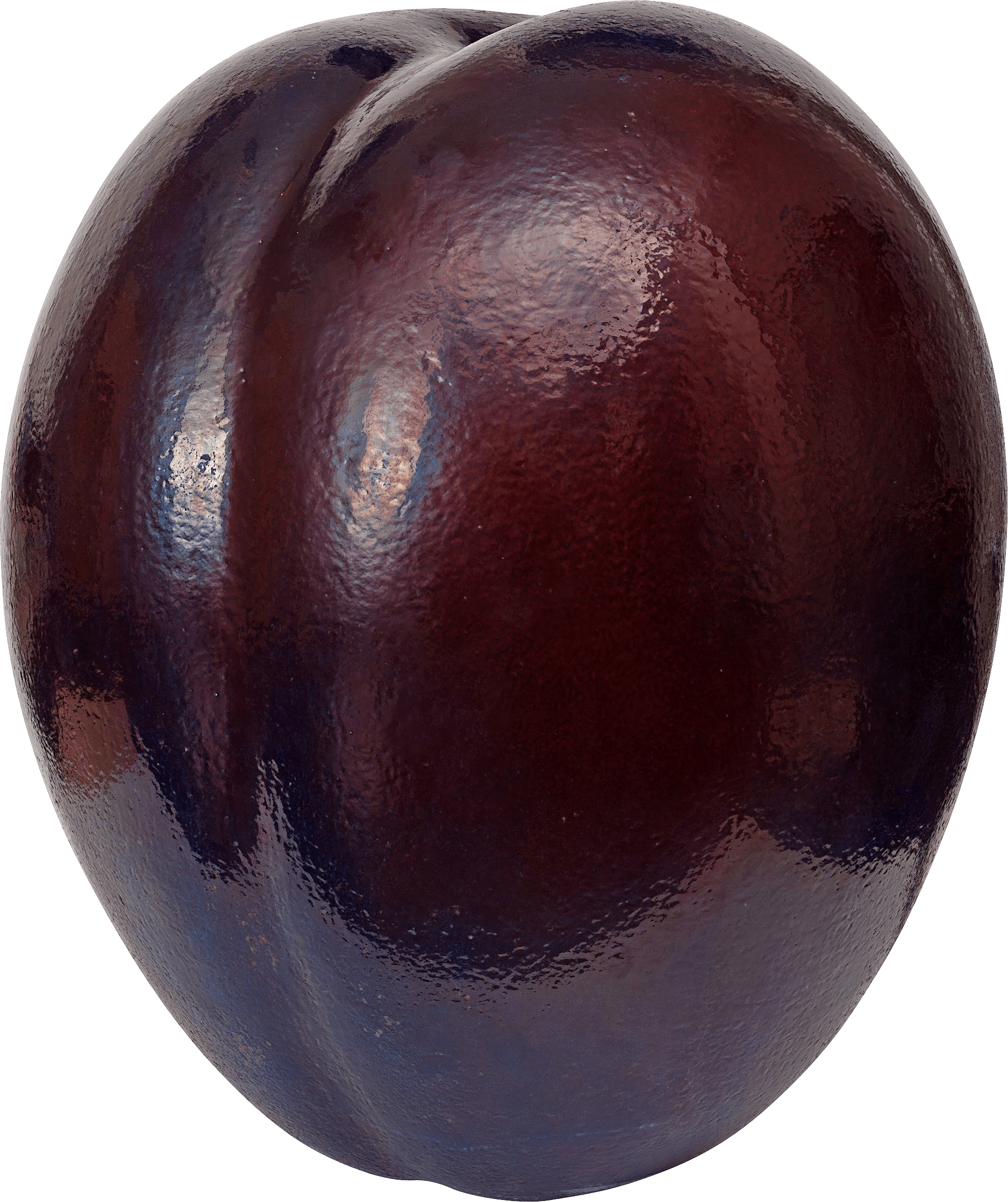 Large Plum