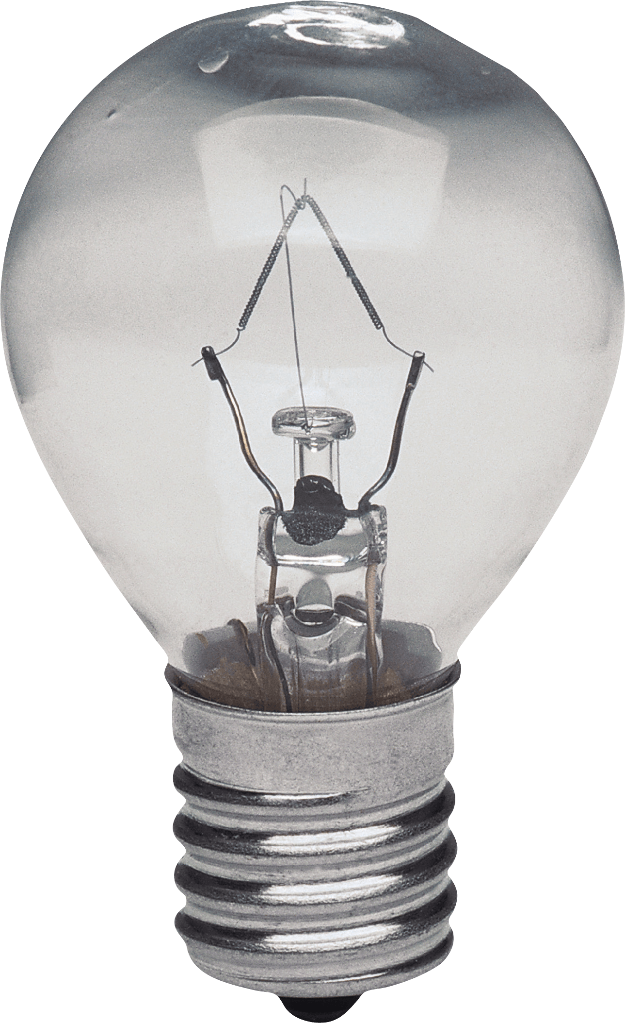 Detailed Bulb