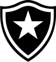 Botafogo de Futebol e Regatas do Rio de Janeiro RJ