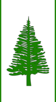 Flag of Norfolk Island