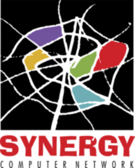 Synergy Computer Network